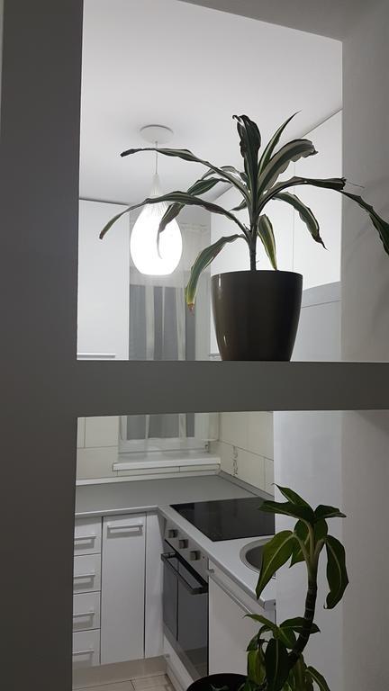 Cluj Lux Apartment Taberei Exterior photo